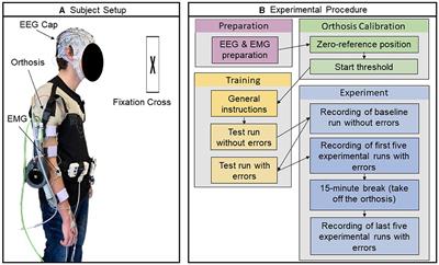Advancing passive BCIs: a feasibility study of two temporal derivative features and effect size-based feature selection in continuous online EEG-based machine error detection